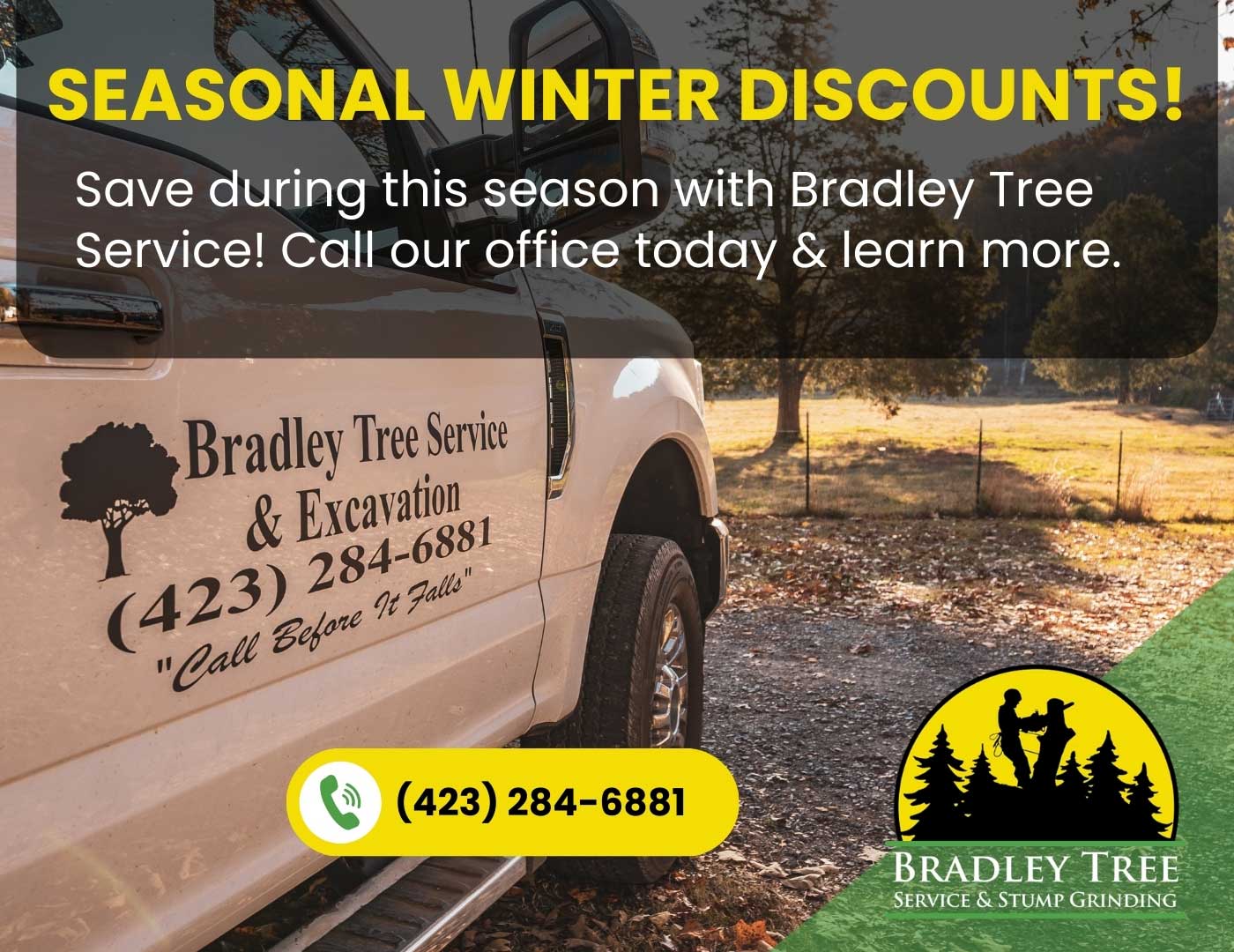 Bradley Tree Service Winter Savings Popup 2025